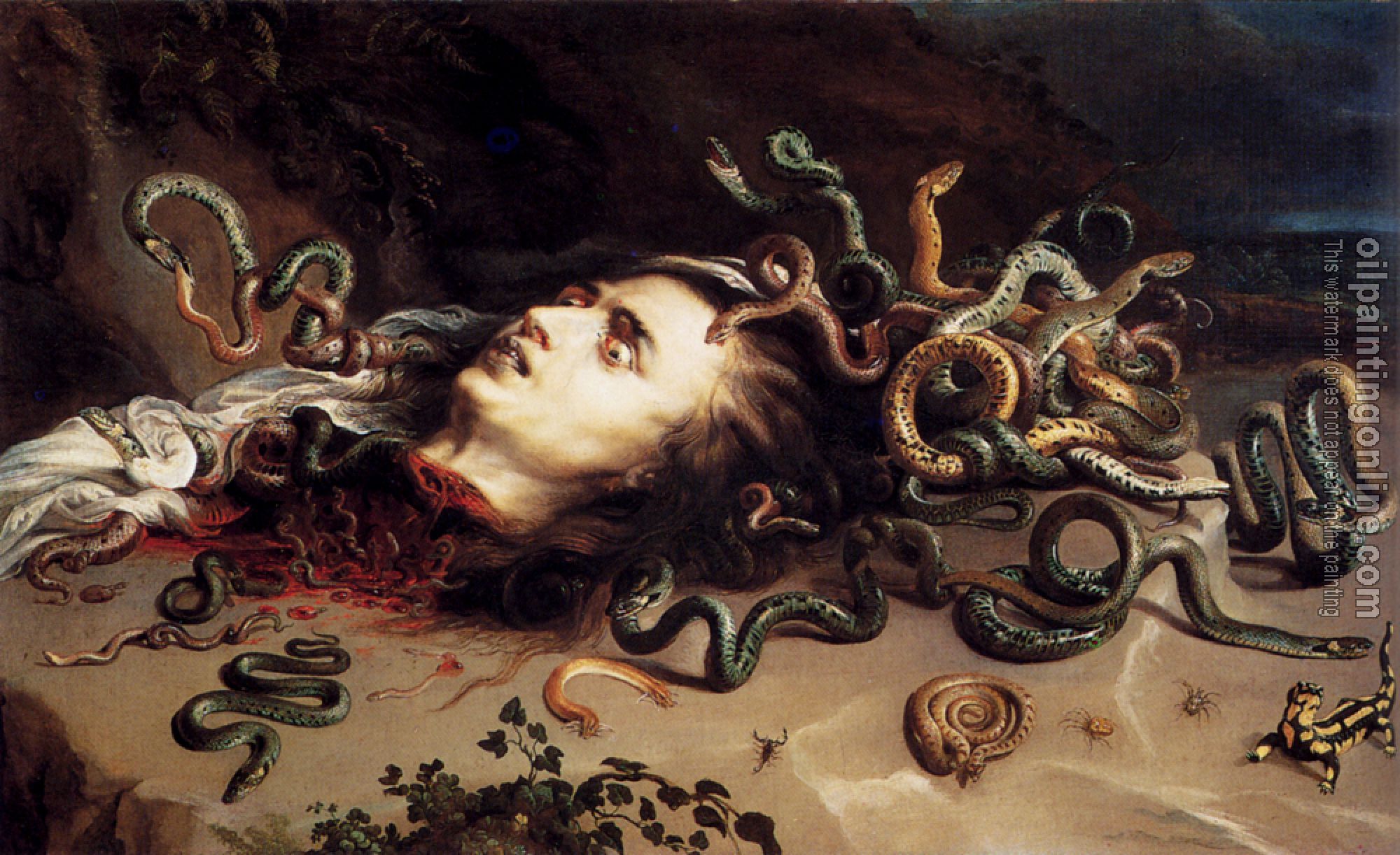 Rubens, Peter Paul - Head Of Medusa